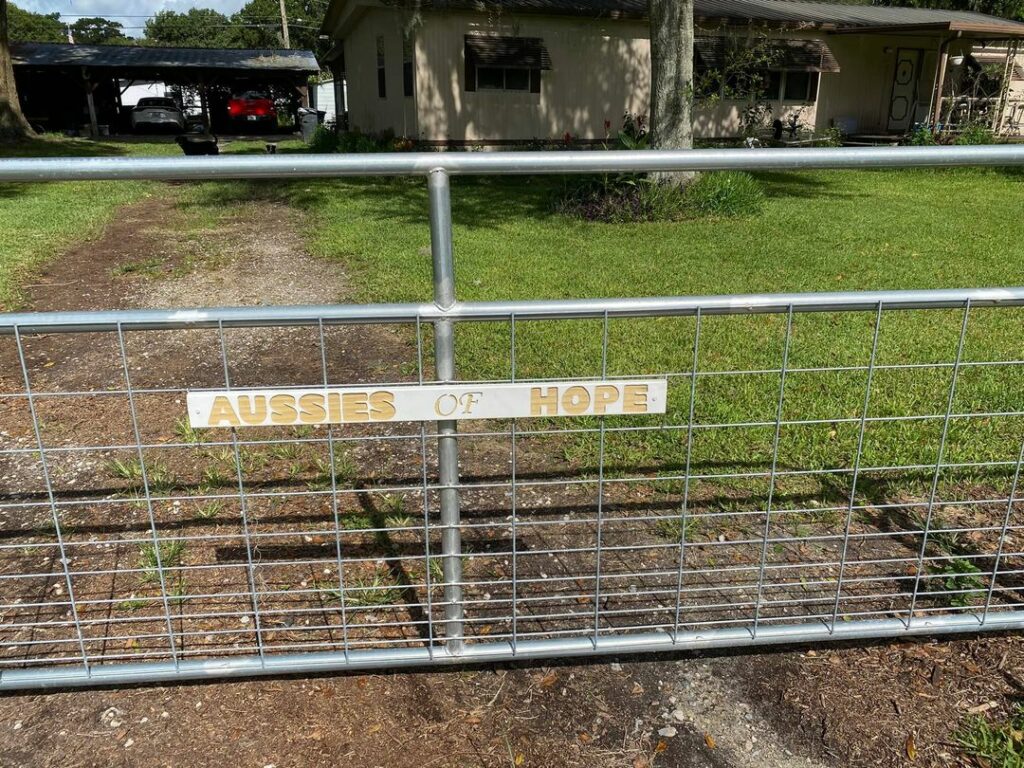 fence repair and fence install in Haines City Florida